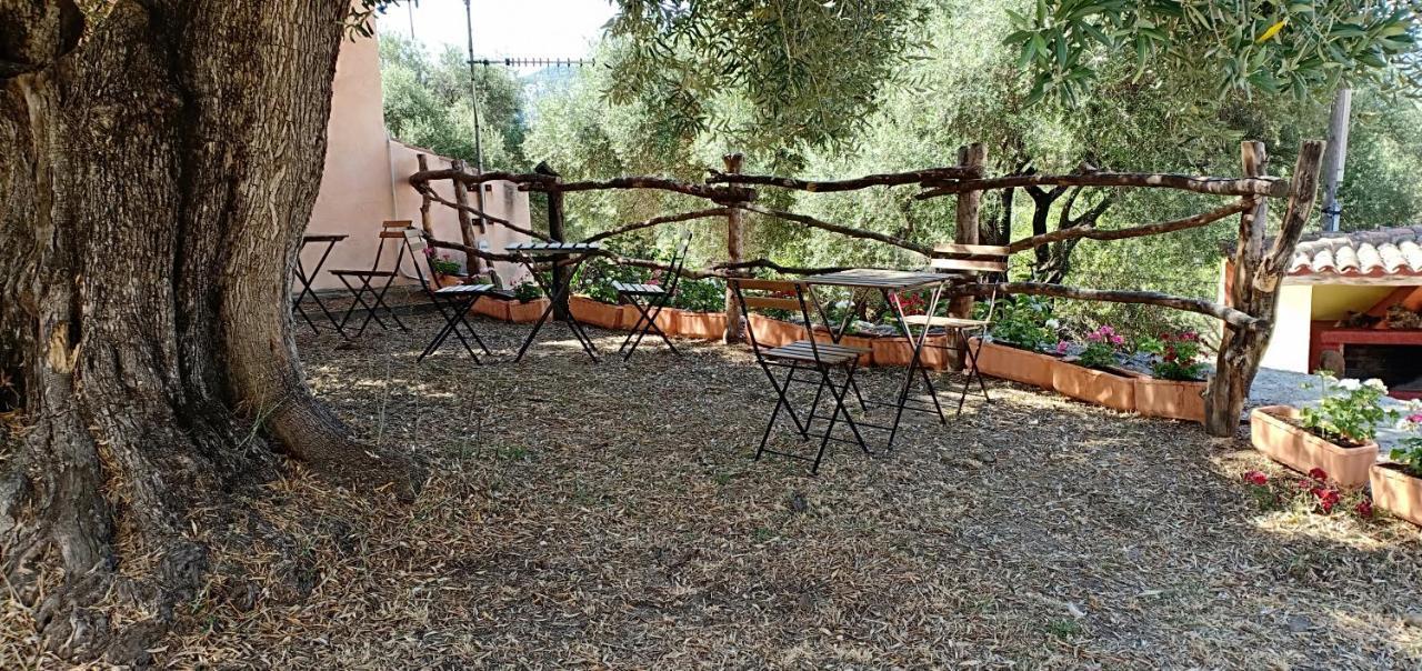 Villa Agriturismo Muristene à Dorgali Extérieur photo