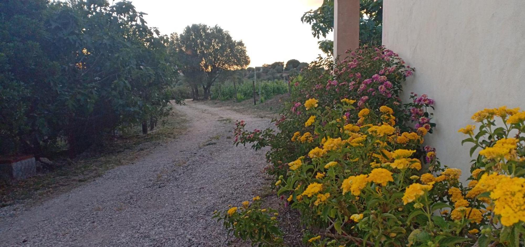 Villa Agriturismo Muristene à Dorgali Extérieur photo