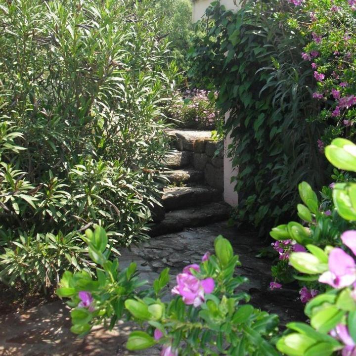Villa Agriturismo Muristene à Dorgali Extérieur photo